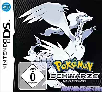 Image n° 1 - box : Pokemon - Schwarze Edition (DSi Enhanced)